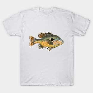 Longear Sunfish T-Shirt